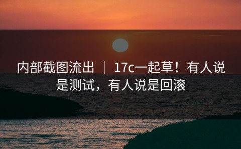 内部截图流出 ｜ 17c一起草！有人说是测试，有人说是回滚