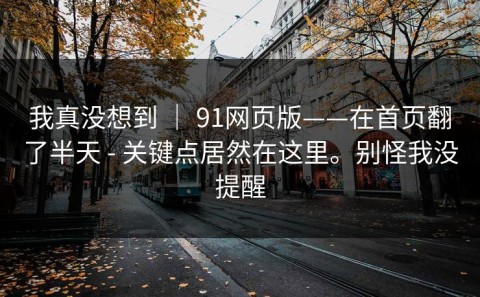 我真没想到 ｜ 91网页版——在首页翻了半天 - 关键点居然在这里。别怪我没提醒