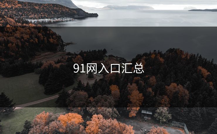 91网入口汇总